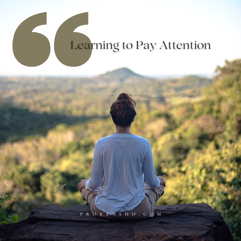 Learning to Pay Attention