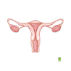Understanding Gynecological Health: A Beginner&#8217;s Guide to Women&#8217;s Reproductive Wellness